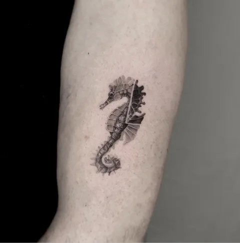 Ein Seepferdchen im Detail, Tattoo am Unterarm von Barni